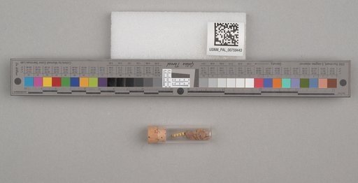 NSF ADBC EPICC TCN