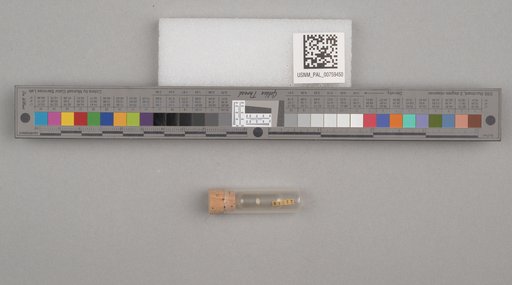 NSF ADBC EPICC TCN