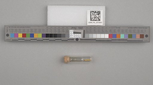 NSF ADBC EPICC TCN