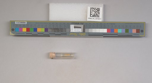 NSF ADBC EPICC TCN