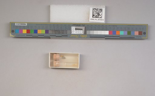 NSF ADBC EPICC TCN