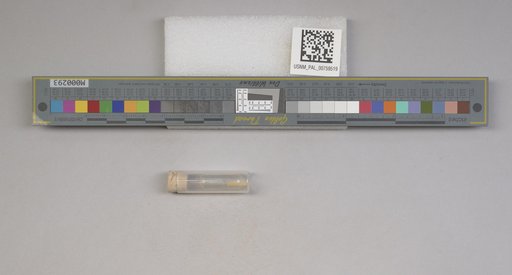 NSF ADBC EPICC TCN
