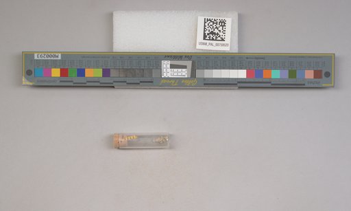 NSF ADBC EPICC TCN