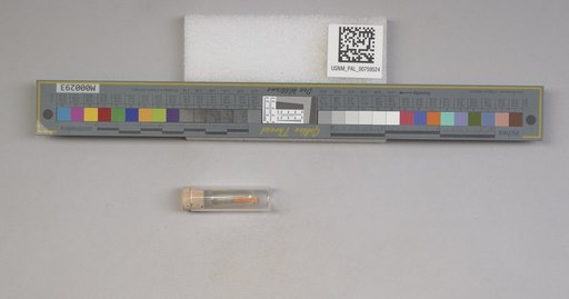 NSF ADBC EPICC TCN