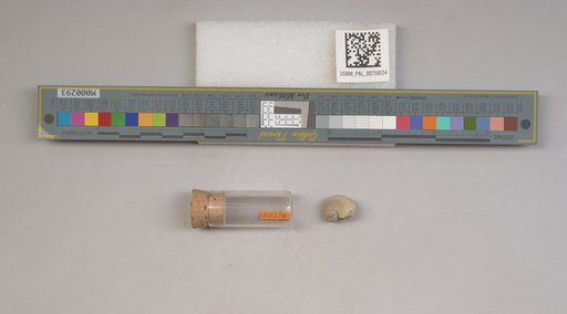NSF ADBC EPICC TCN