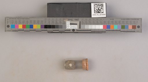 NSF ADBC EPICC TCN