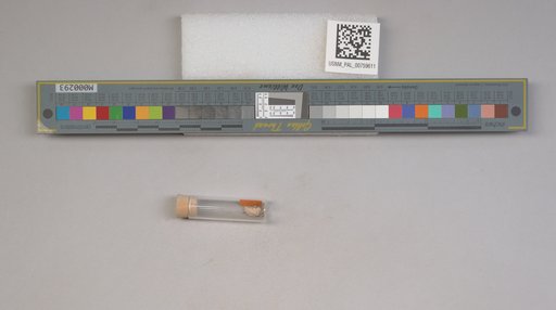 NSF ADBC EPICC TCN