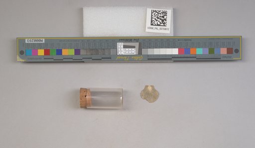 NSF ADBC EPICC TCN