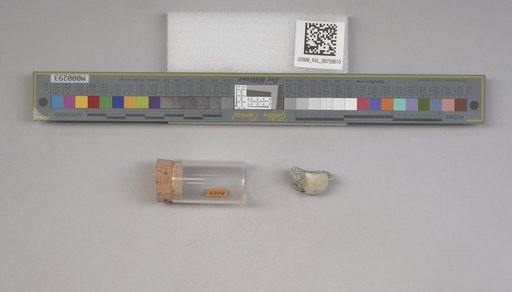 NSF ADBC EPICC TCN