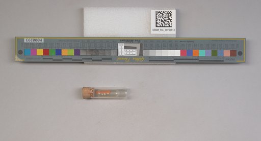 NSF ADBC EPICC TCN