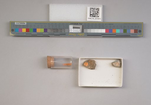 NSF ADBC EPICC TCN