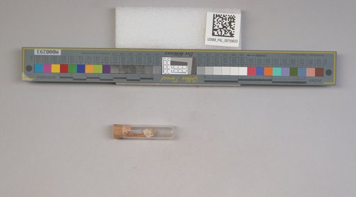NSF ADBC EPICC TCN