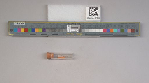 NSF ADBC EPICC TCN