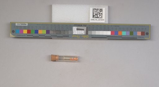 NSF ADBC EPICC TCN