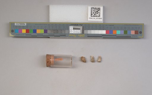 NSF ADBC EPICC TCN