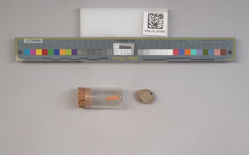 NSF ADBC EPICC TCN