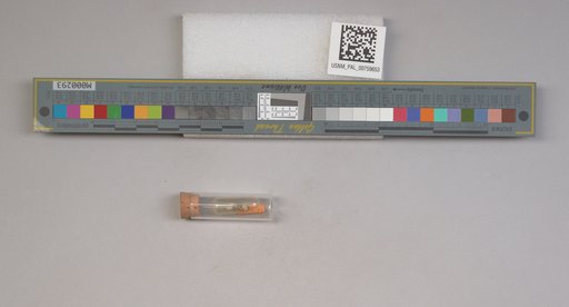 NSF ADBC EPICC TCN