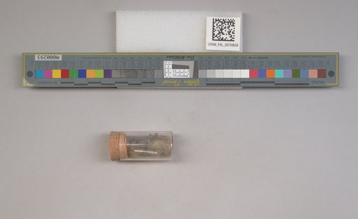 NSF ADBC EPICC TCN