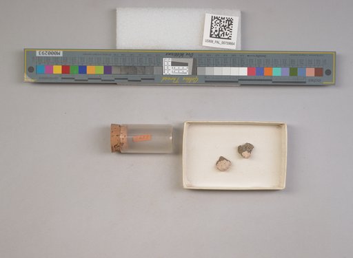 NSF ADBC EPICC TCN