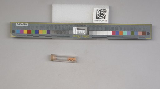 NSF ADBC EPICC TCN