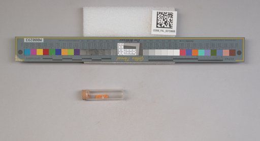 NSF ADBC EPICC TCN