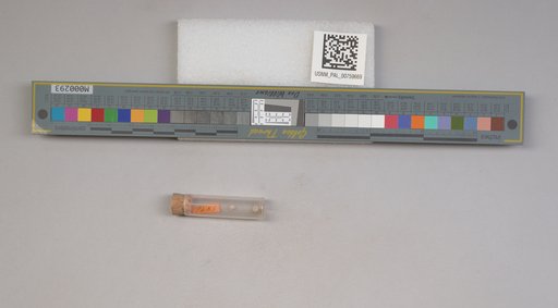NSF ADBC EPICC TCN