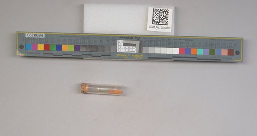 NSF ADBC EPICC TCN