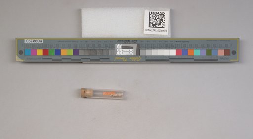 NSF ADBC EPICC TCN