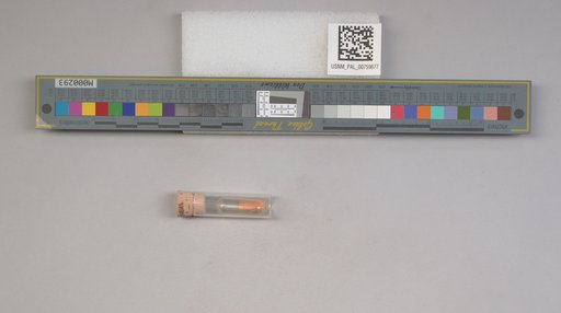 NSF ADBC EPICC TCN
