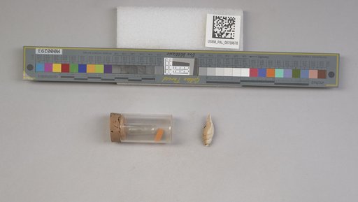NSF ADBC EPICC TCN