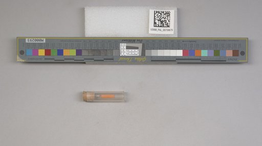 NSF ADBC EPICC TCN