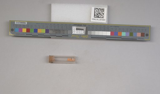 NSF ADBC EPICC TCN