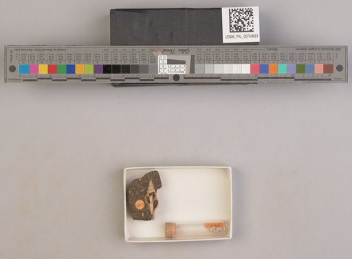 NSF ADBC EPICC TCN