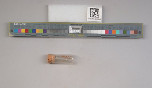 NSF ADBC EPICC TCN
