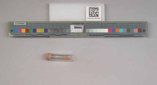 NSF ADBC EPICC TCN