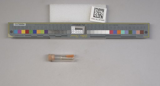 NSF ADBC EPICC TCN