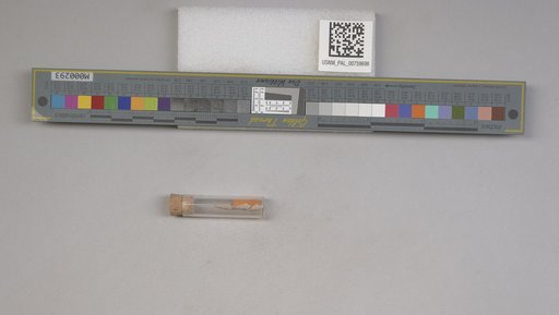 NSF ADBC EPICC TCN