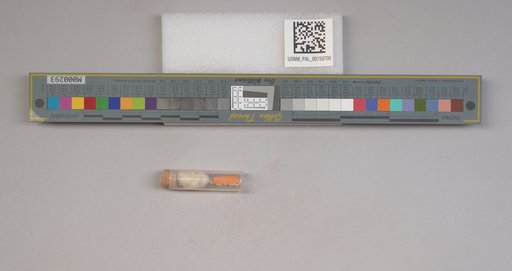NSF ADBC EPICC TCN