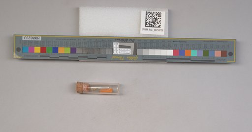 NSF ADBC EPICC TCN