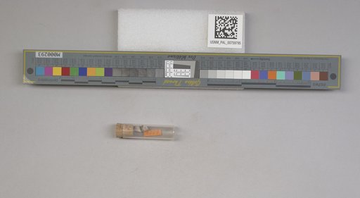 NSF ADBC EPICC TCN
