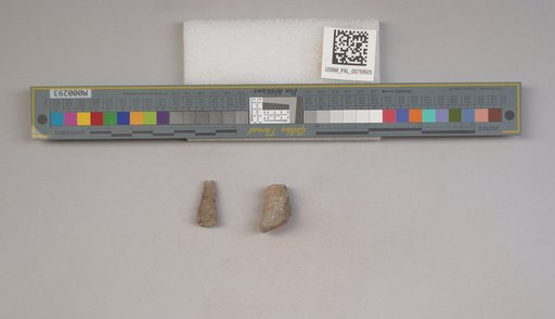 NSF ADBC EPICC TCN