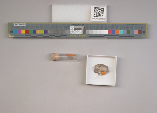 NSF ADBC EPICC TCN