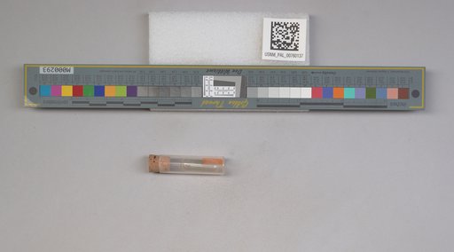 NSF ADBC EPICC TCN
