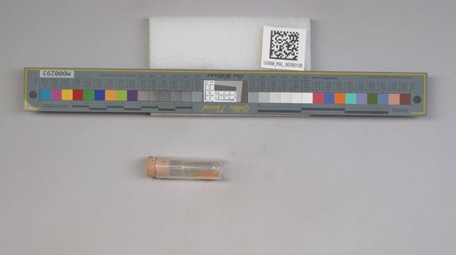 NSF ADBC EPICC TCN