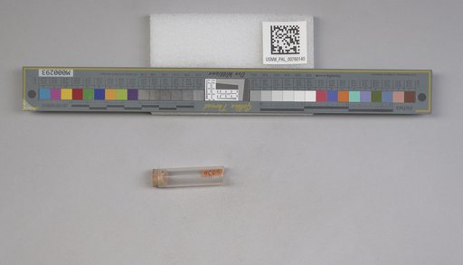 NSF ADBC EPICC TCN