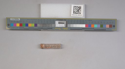 NSF ADBC EPICC TCN