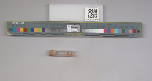 NSF ADBC EPICC TCN