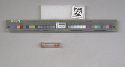 NSF ADBC EPICC TCN