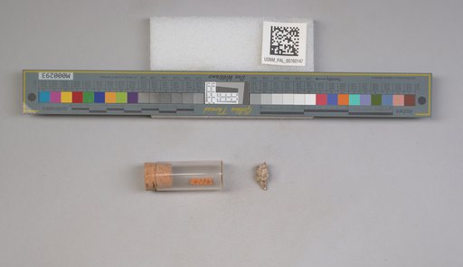 NSF ADBC EPICC TCN