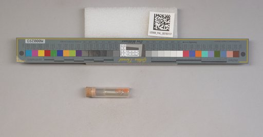 NSF ADBC EPICC TCN